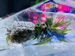 -宁波冰雪大世界(北仑区)