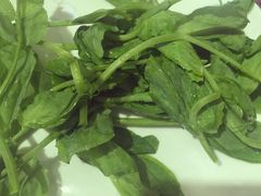 蜀九香火锅酒楼(九眼桥店)-蜀九香火锅(九眼桥店)