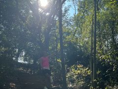 -上海佘山国家森林公园天马山园