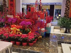 -常州环球恐龙城维景国际大酒店