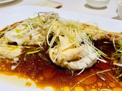 葱油龙趸肉-凤凰楼酒家·粤宴点心(华强北店)
