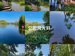 -重庆彩云湖湿地公园