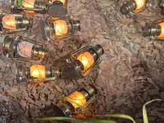 -J Create城市露营咖啡·简餐·宠物(上海动物园店)