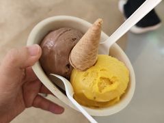 -极拉图·现制冰淇淋(大卫城店)