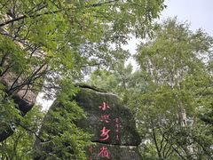 -汤旺河林海奇石景区