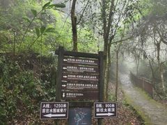-云南屏边大围山国家公园
