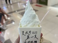 -野人先生Gelato(上海长宁龙之梦店)