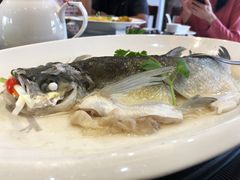 -大门水乡·顺德菜
