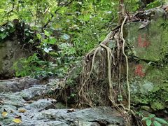 -飞霞风景名胜区