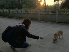 -边寨喊沙