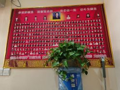 -痣缘宫