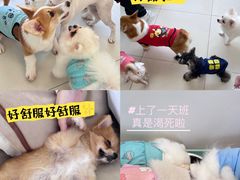 -怪兽屋·羊驼·猫咖·狗咖(俊华广场店)