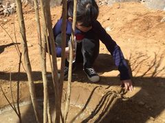 -十渡东湖港风景区