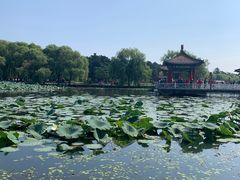 -长春市南湖公园