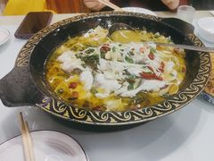 -金三可市井水煮鱼(金碧园店)