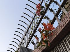 -佛山华盖山公园