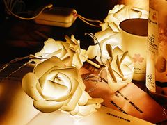 -剧狐剧本杀·月球探案馆(人民广场1号店)