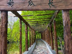 -南汇桃花村