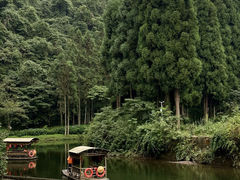 -龙苍沟森林公园