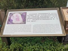 -庐山风景区花径公园