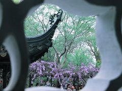 -留园