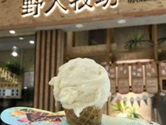 -野人先生现做冰淇淋(北京顺义祥云小镇店)