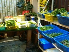 -老梅园大虾城(河西店)