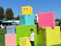 -秦皇岛乐岛海洋王国