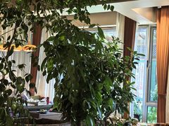 -慢丽江·云南野生菌土鸡锅(付家庄店)