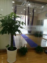 -亚太瑜伽普拉提学院