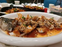 -飞鹿餐饮·陕南菜(北关店)