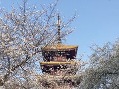 -东湖生态旅游风景区