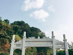 门面-羚羊峡古栈道森林公园