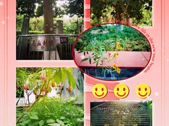 -广州神农草堂中医药博物馆