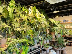 -自由生长植物工作室(深港花卉中心店)