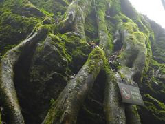 -山王坪喀斯特国家生态公园