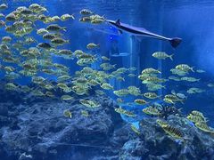 -海合安成都极地海洋公园