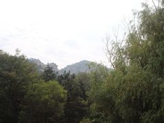 -九龙池景区
