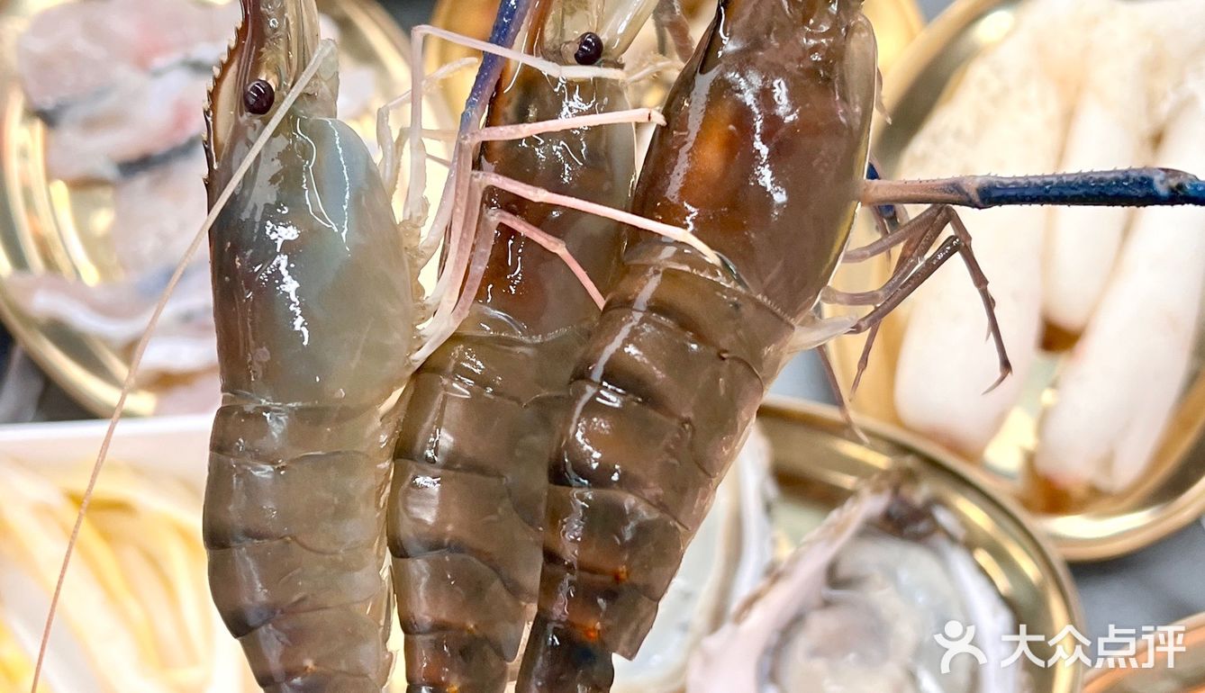 新开的！！又可以在深圳实现海鲜自由了🦞