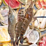 新开的！！又可以在深圳实现海鲜自由了🦞