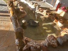 -缘福乡村铁锅炖民宿(八达岭店)