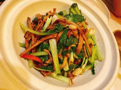-同乐馆(阳光店)