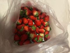 -恒绿农产品草莓采摘园