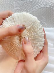 -Adore nail日式美甲美睫