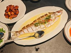 -茶人村·前滩江景雅宴(上海首店)