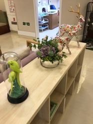 -北京亚运村美中宜和妇儿医院
