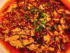 凉拌鸡-铁公鸡·四川料理(天环广场店)