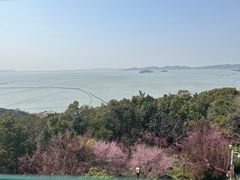 -宝界山林公园