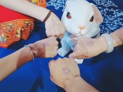 -爱丽丝冒险奇遇记