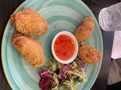 欧式炸翅中-莫多多餐厅